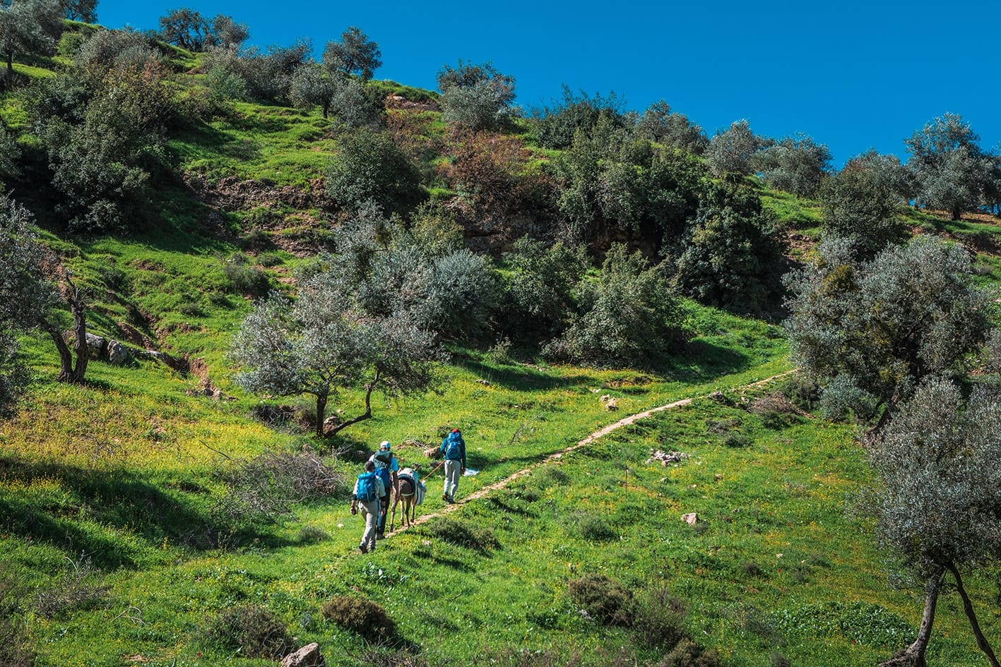 Ali-Barqawi-Studios-Explore-Series-Travel-Adventure-Jordan-Trail-Thru-Hike-2018-Day-06-Rasoun-to-Ajloun-009-1