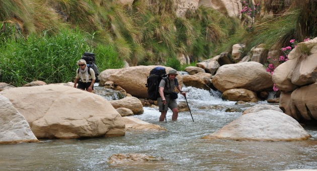 Wadi Al Hasa