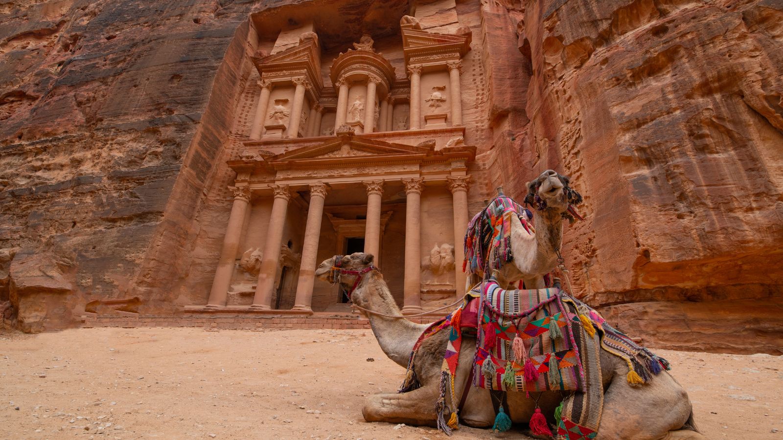 How much is a taxi from Amman to Petra?
