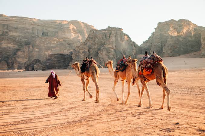4-Day Jordan Tour: Dead Sea, Petra & Wadi Rum to Aqaba